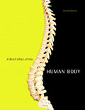 Brief Atlas Of The Human Body - Matt Hutchinson, Jon Mallatt