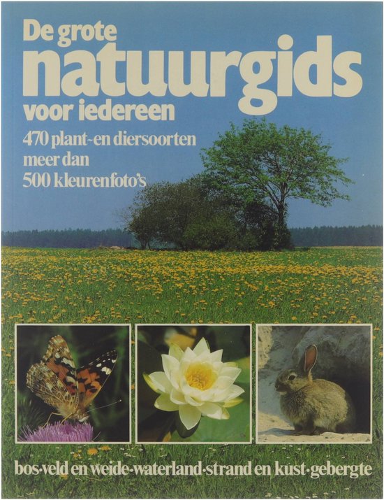 De grote natuurgids voor iedereen | kolektiv - KOLEKTIV, Dorothee Bacher