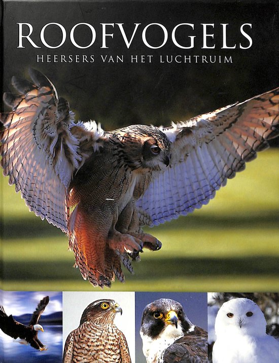 Roofvogels - Frost, Paul D
