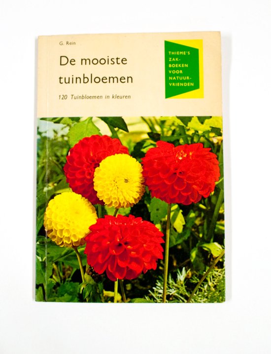 Mooiste tuinbloemen - Rein
