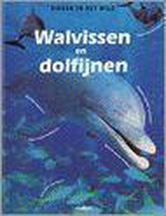 Walvissen En Dolfijnen - Kim Taylor