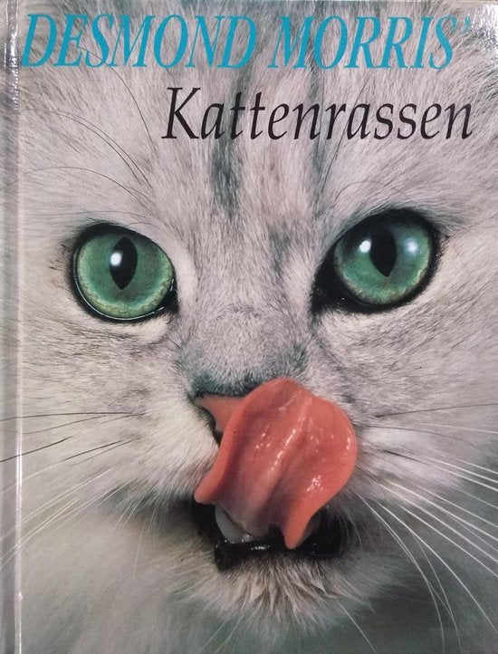 Desmond ' Kattenrassen - Morris