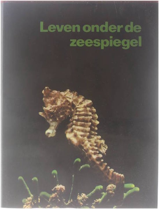 Leven onder de zeespiegel - Menico Torchio, Bob Entrop