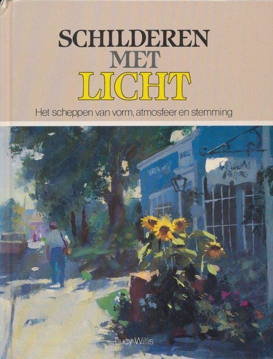Schilderen met licht - Lucy Willis