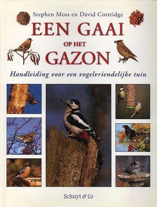 GAAI OP HET GAZON - David Crosby