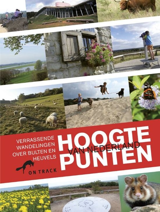 Hoogtepunten Van Nederland - Tineke Zwijgers