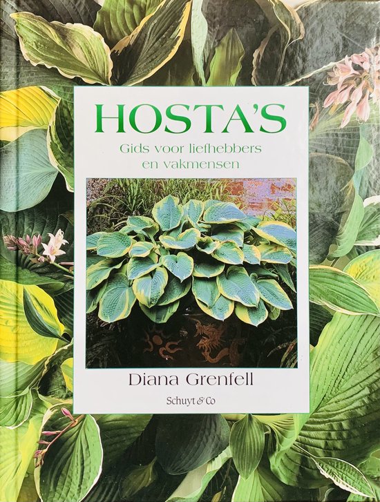 Hostas - D. Grenfell