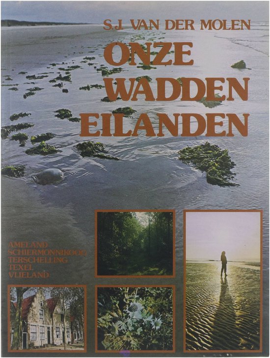 Carlota Fainberg - Van Der Molen SJ, Paul Vogt
