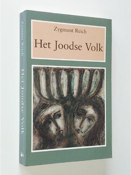Het Joodse volk - Zygmunt Reich