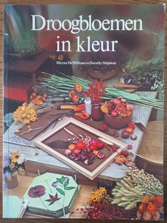 Droogbloemen in kleur - Mcwilliam