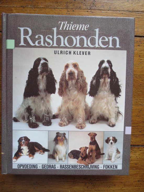 Rashonden - U. Klever