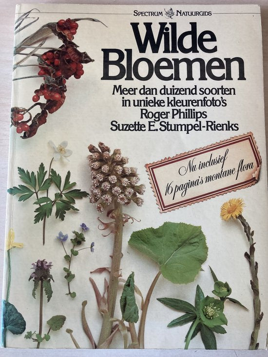 Wilde bloemen - R. Phillips, Suzette E. Stumpel - Rienks (bewerking)
