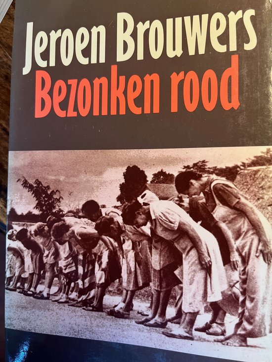 Bezonken rood - Jeroen Brouwers