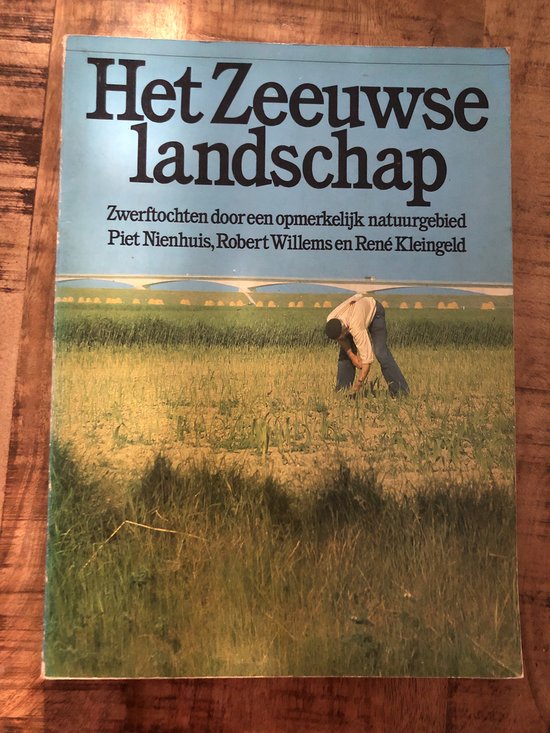 Zeeuwse landschap - R. Willems