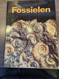 Fossielen - Pinna