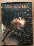 Oosterschelde - W.J. Wolff, D.J. Kuenen