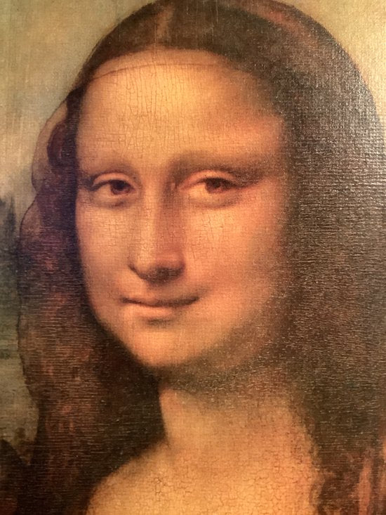 De wereld van Leonardo da Vinci - R. Wallace