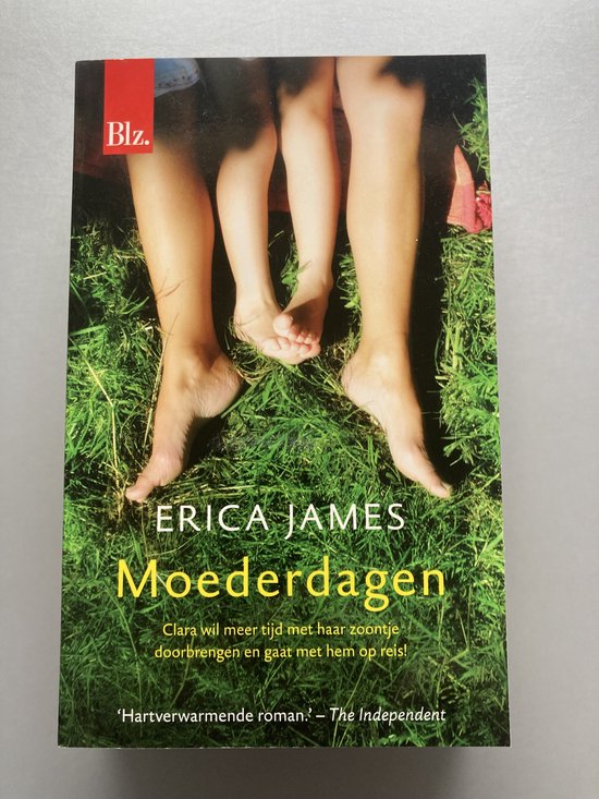 Moederdagen - Erica James