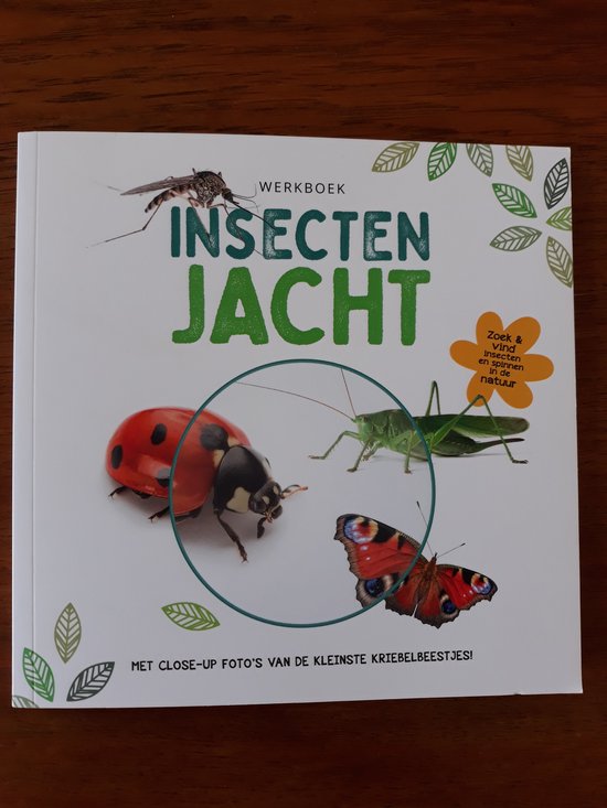 Werkboek Insecten Jacht - R&B