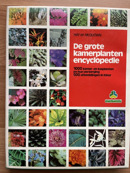 Grote kamerplanten - encyclopedie - Hay