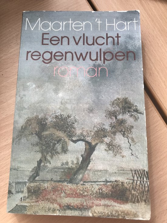 Een vlucht regenwulpen - Maarten 't Hart, geen