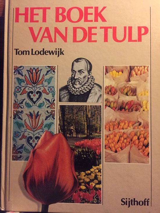 Het boek van de tulp - Tom Lodewijk