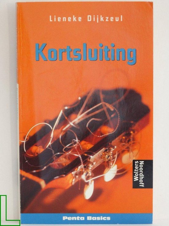 kortsluiting - Lieneke Dijkzeul