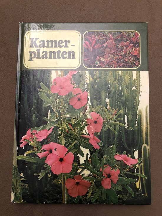 Kamerplanten - Onbekend