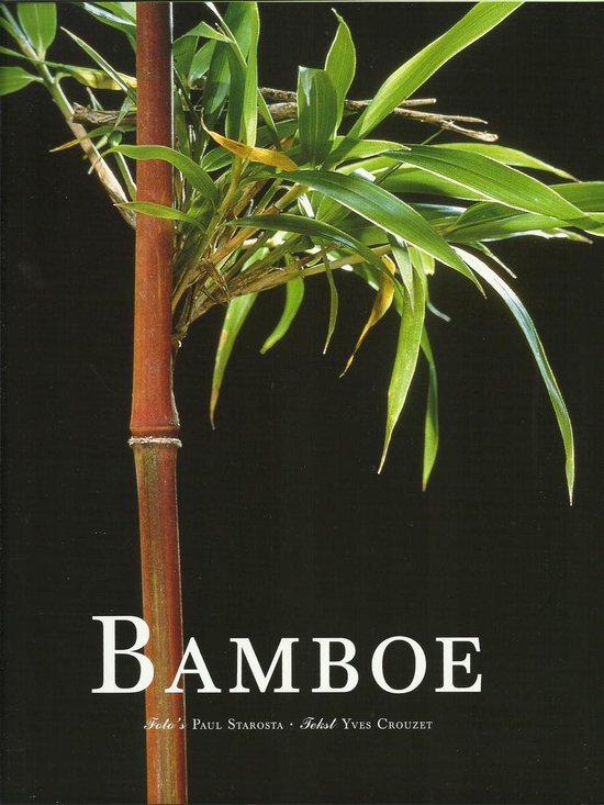 Bamboe - Yves Crouzet