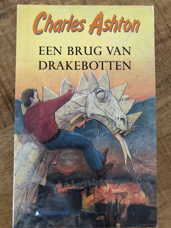 Een brug van drakebotten - Erica van Rijsewijk