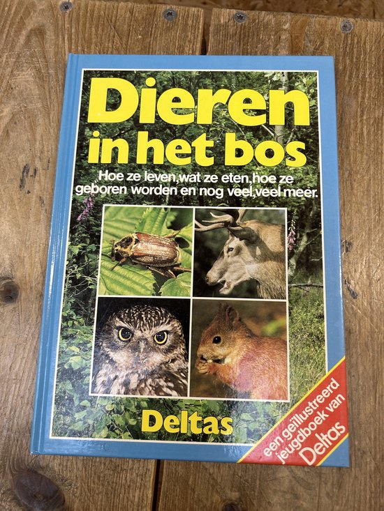 Dieren in het bos - Alwine De Jong