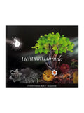 Licht van Lumina - Chr. Duhoux - Rueb