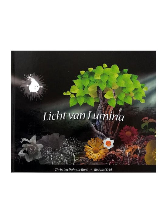 Licht van Lumina - Chr. Duhoux - Rueb