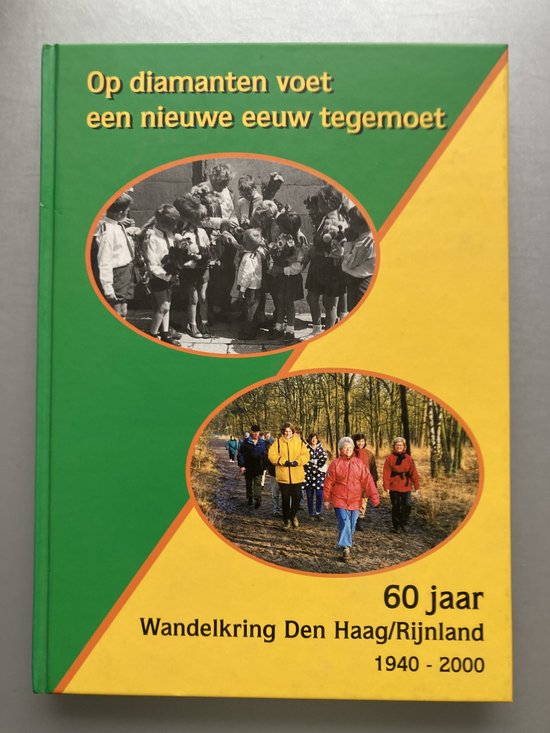 Op diamanten voet een nieuwe eeuw tegemoet - Jan de Vries