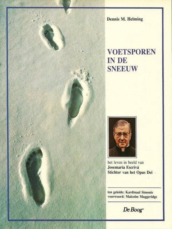 Voetsporen in de sneeuw - D.M. Helming