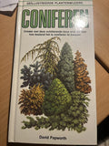 Coniferen - Papworth, Geoffrey Rogers