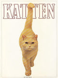 Katten - Michael Wright, Sally Walters