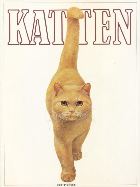 Katten - Michael Wright, Sally Walters