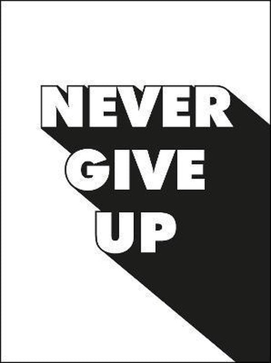 Never Give Up - Summersdale Publishers
