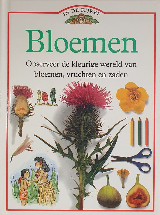 IN DE KYKER BLOEMEN - Arjen Mulder