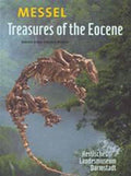 Messel - Treasures of the Eocene - Gabriele Gruber& Norbert Micklich