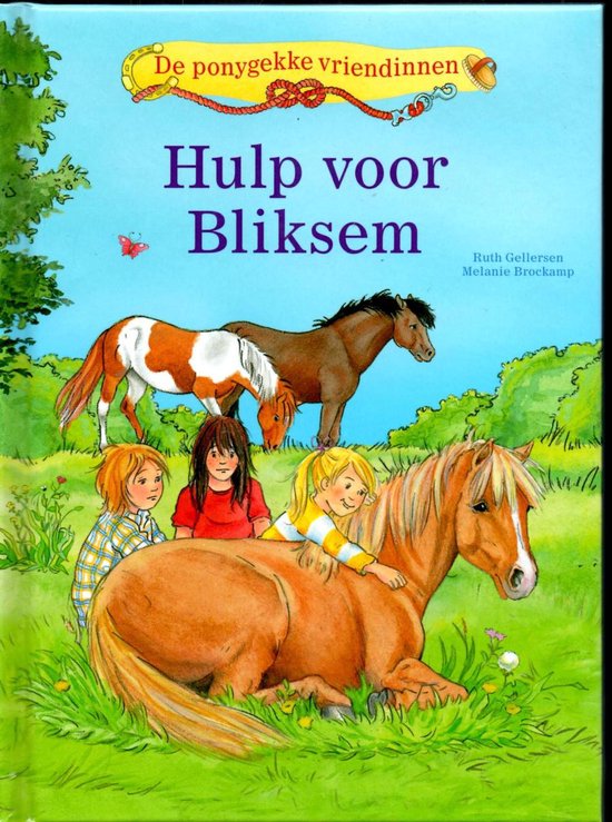Hulp voor Bliksem - Melanie Brockamp