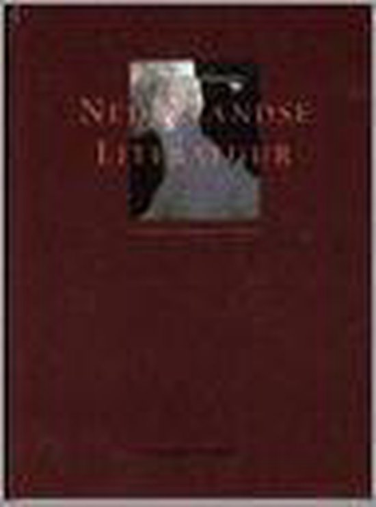 Beknopte versie Nederlandse literatuur - J.A. Dautzenberg