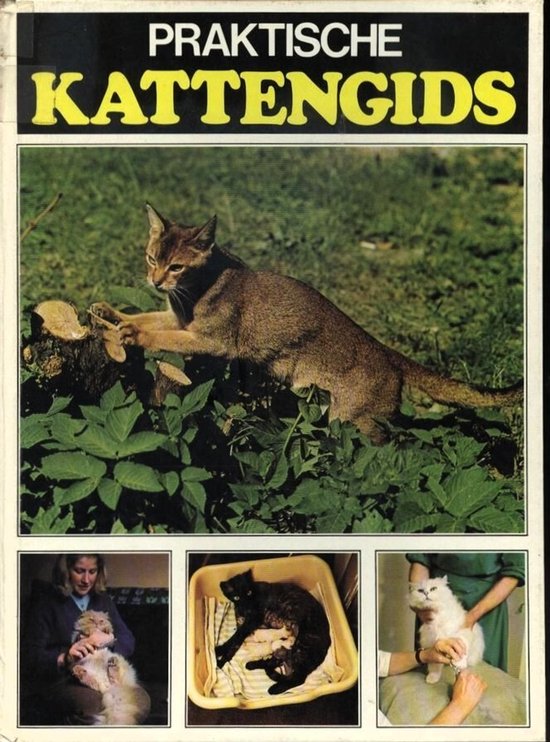 Praktische kattengids - Ivor Raleigh, E. Jackson