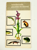 Beschermde planten en dieren - Schimmel