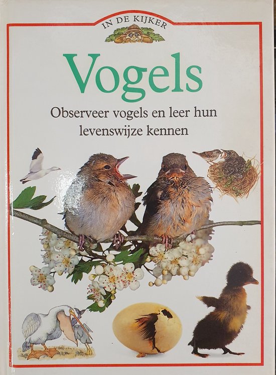 In de kyker vogels - Jill Bailey, David Burnie