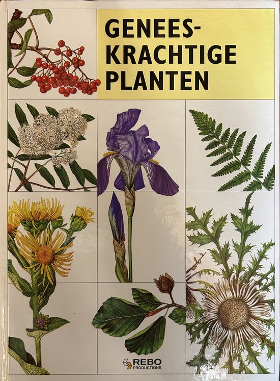 GENEESKRACHTIGE PLANTEN - Nannie Nieland