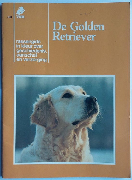 31 golden retriever V.n.k. gids