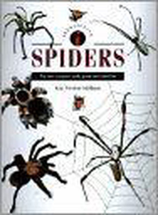 Identifying Spiders - Booksales, Ken Preston - Mafham