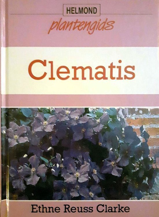 Clematis - Ethne Reuss Clarke